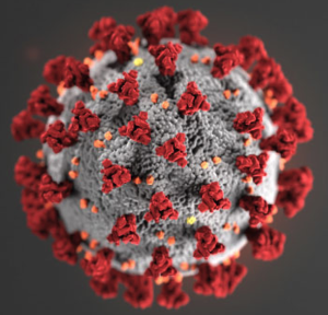 media image of the C19 virus